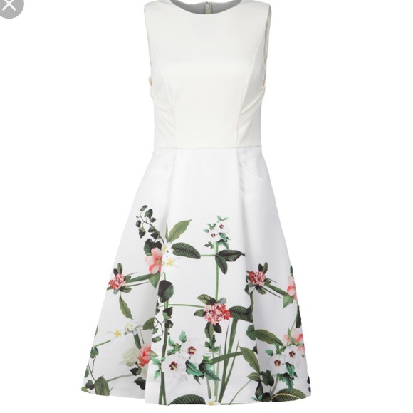 Ted Baker Karolie A-Line Dress - Picture 5 of 5
